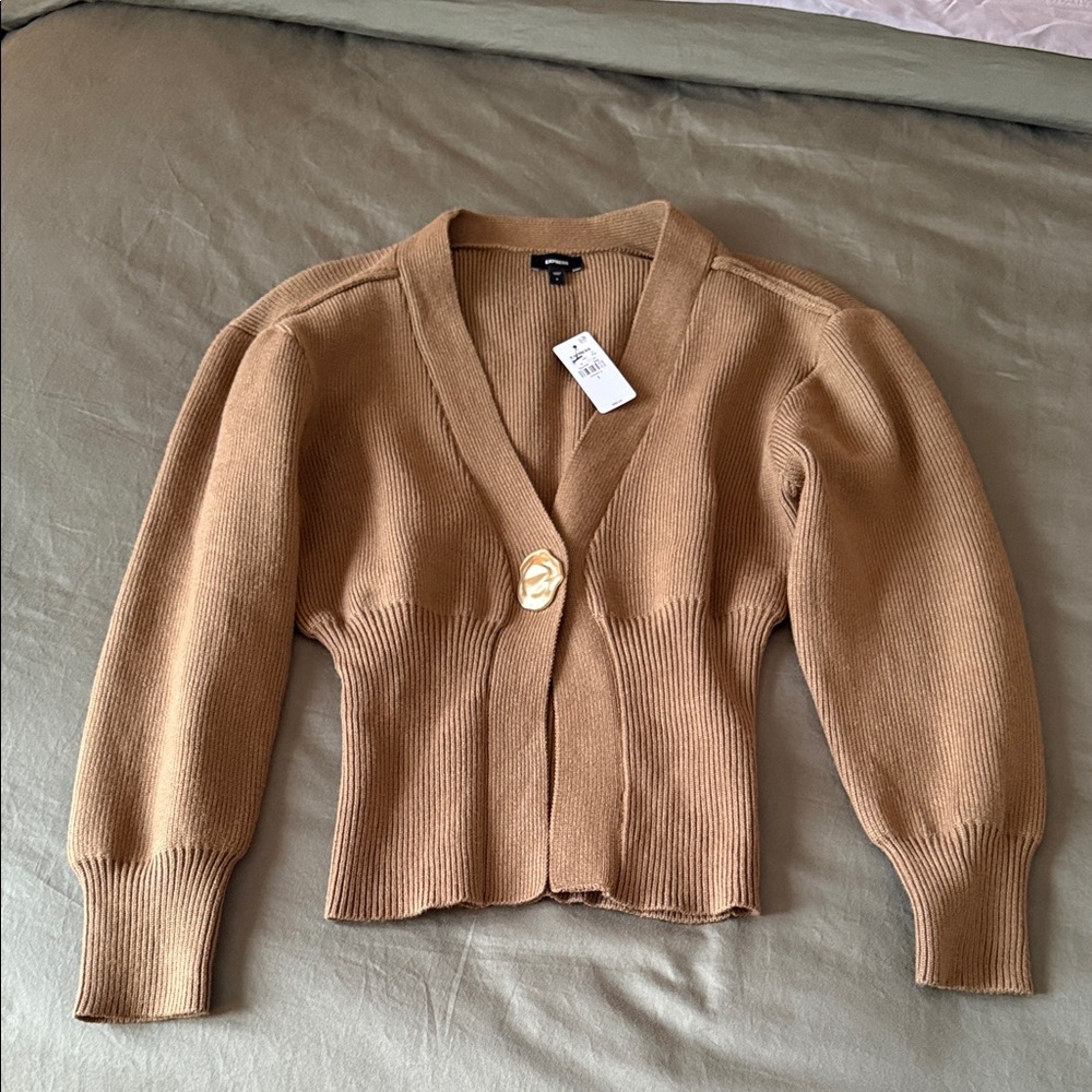 NWT Express Sweater